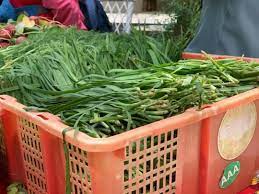黑大豆制品在高端消费市场中的推广策略